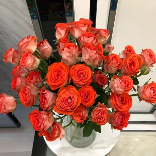 Stunning Bubble Rose