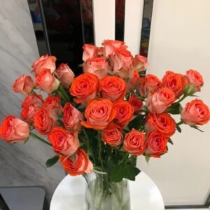 Stunning Bubble Rose