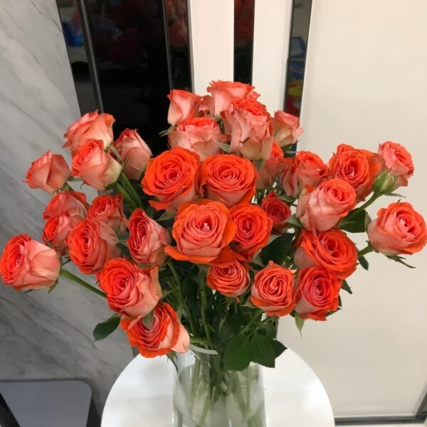 Stunning Bubble Rose