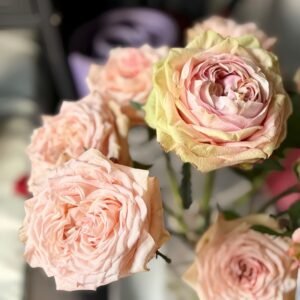 Art Nuvo Rose