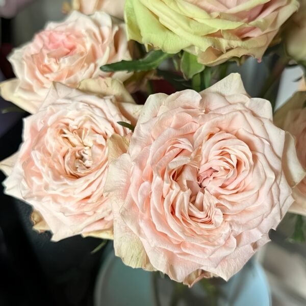 Art Nuvo Rose