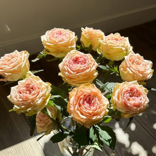 Art Nuvo Rose