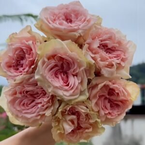 Art Nuvo Rose