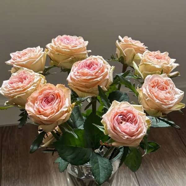 Art Nuvo Rose