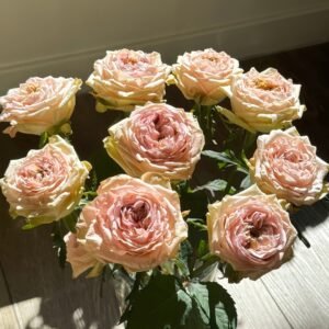 Art Nuvo Rose