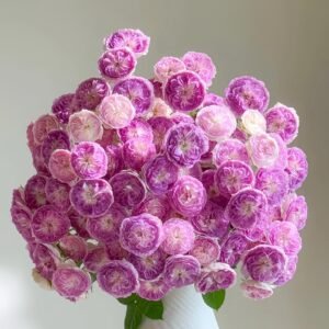 Blue Moon Stone Rose