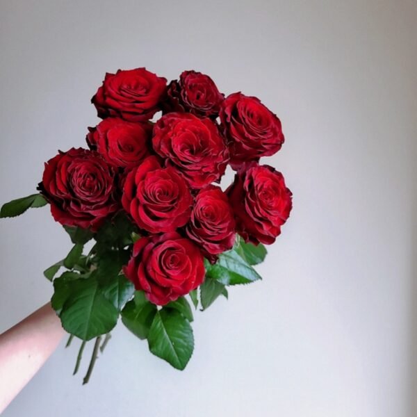 Cola Rose