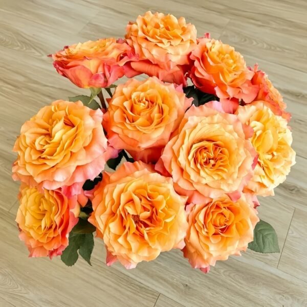 Free Spirit Rose