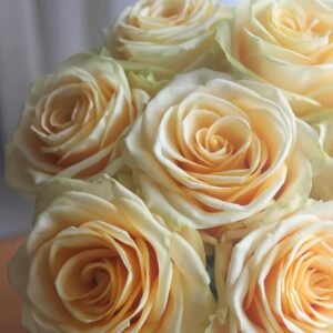 Lemonade Rose Plant|莱蒙乃迪 - 图片 9