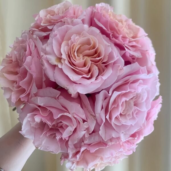 Mayra Flamingo Rose
