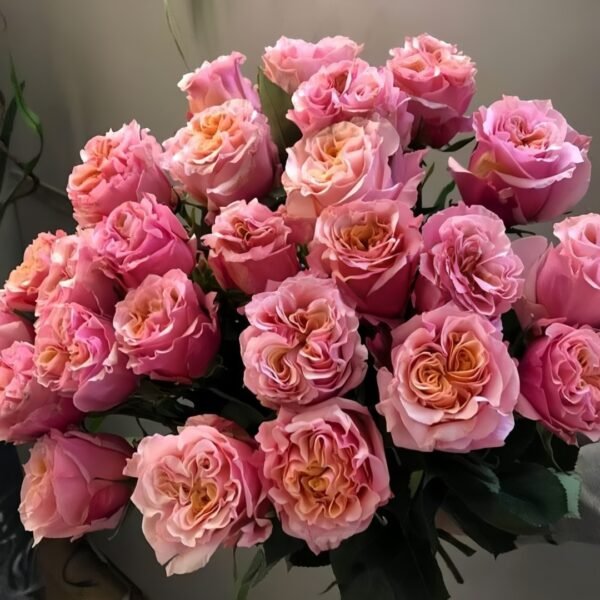 Mayra Flamingo Rose