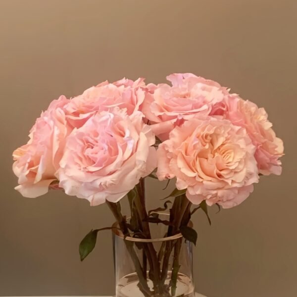 Mayra Flamingo Rose