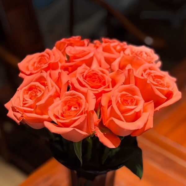 Movie Star Rose