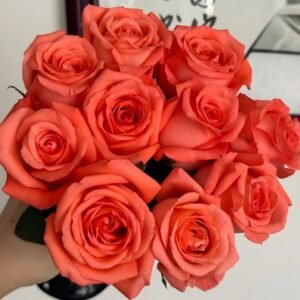 Movie Star Rose