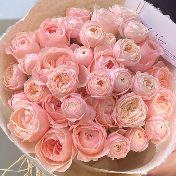 New SPS Rose