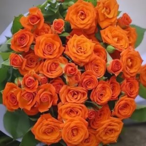 Orange Jewel Rose