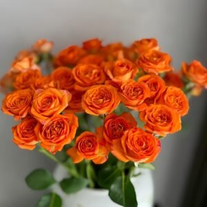Orange Jewel Rose