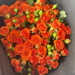 Orange Jewel Rose