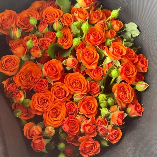 Orange Jewel Rose