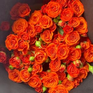 Orange Jewel Rose