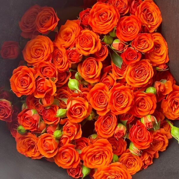 Orange Jewel Rose