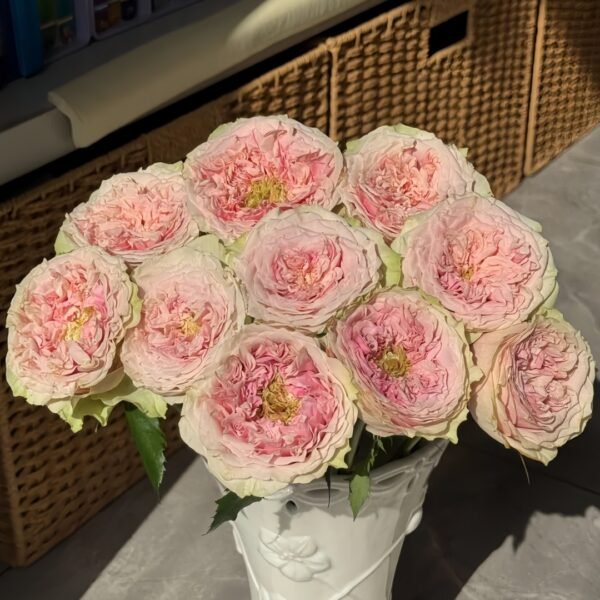 Sweet Eye Rose