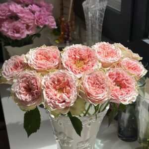 Sweet Eye Rose