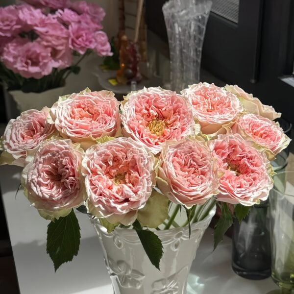 Sweet Eye Rose