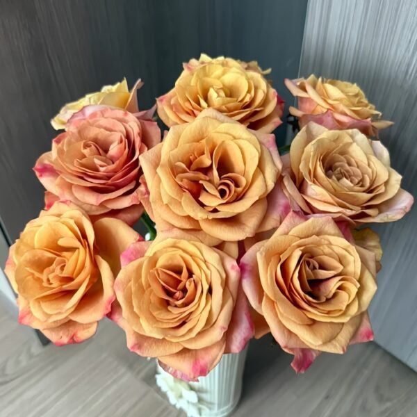 Symbol Rose