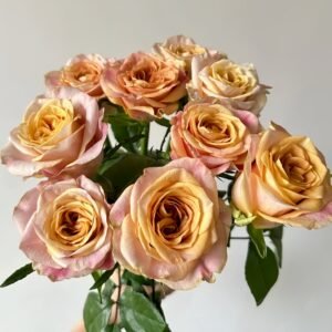 Symbol Rose