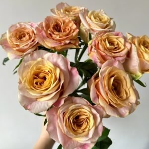 Symbol Rose