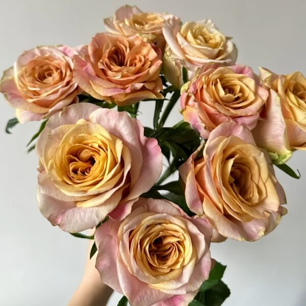 Symbol Rose