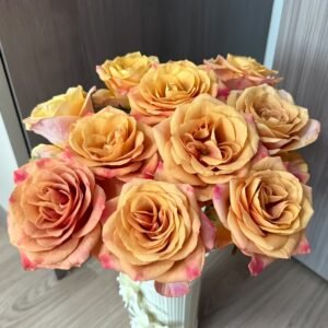 Symbol Rose