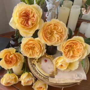 Tsukitohana Rose