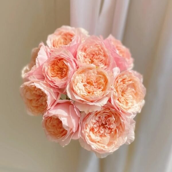 Tsumugi ulala Rose