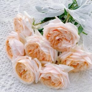 Tsumugi ulala Rose