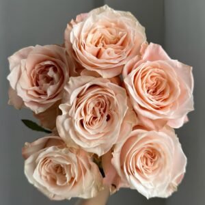 Warm hearted Milk Pastry Rose