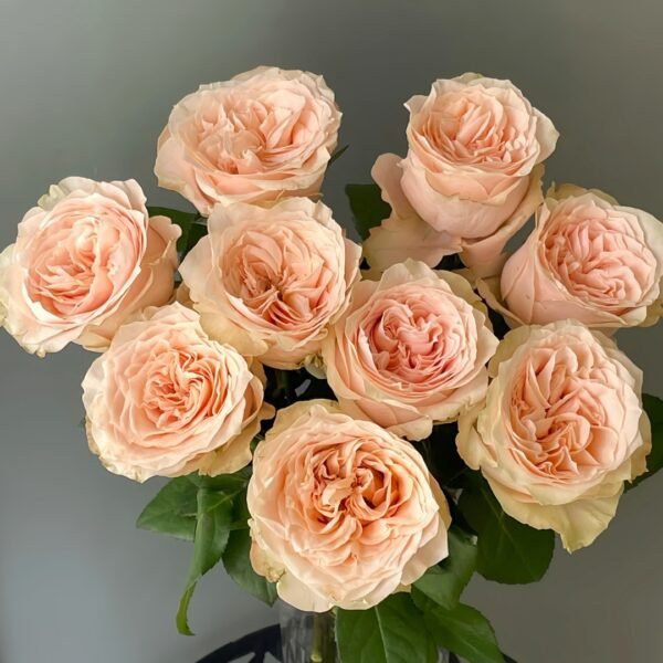 Warm hearted Milk Pastry Rose
