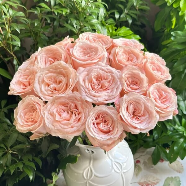 Warm hearted Milk Pastry Rose