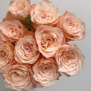 Warm hearted Milk Pastry Rose