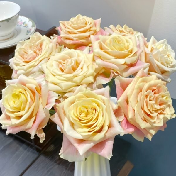 Wild Crown Rose