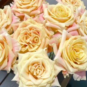 Wild Crown Rose
