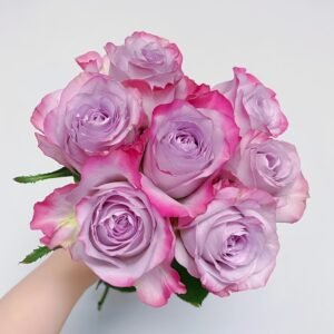 Glamorous Rose