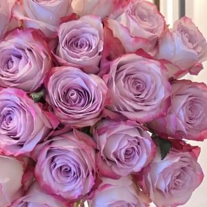 Glamorous Rose