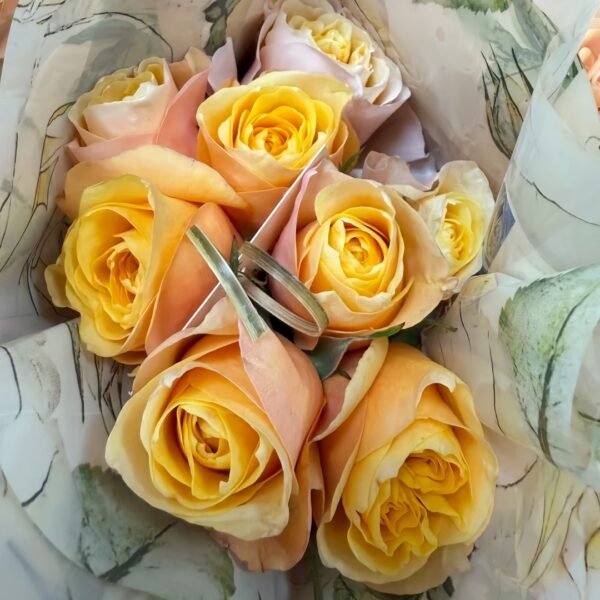 King's Cross Rose