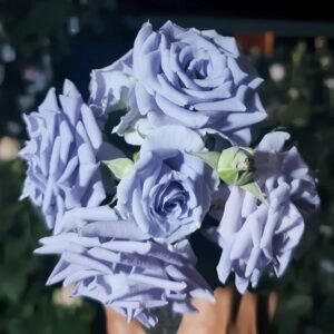 Turn Blue Rose